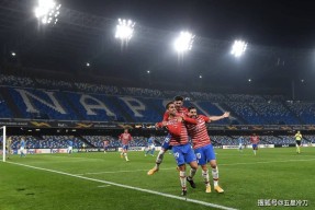 包含勒沃库森迎来里程碑备战欧联詹姆斯在尤文图斯比赛中问鼎冠军，萨克拉门托国王单刀错失备战NBA季后赛看傻球迷的词条